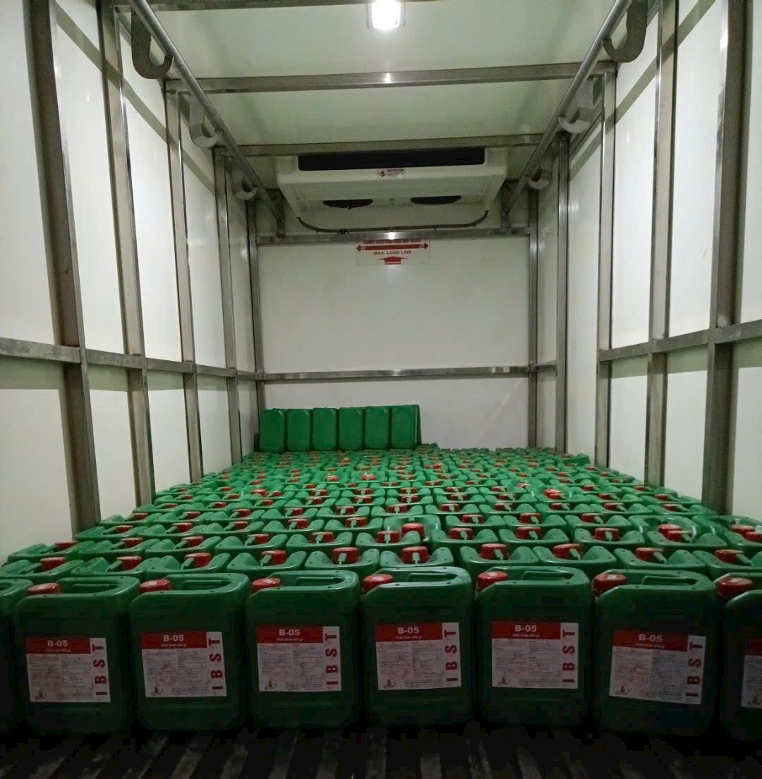 529730383 122254923224017899 6130141561399314725 N