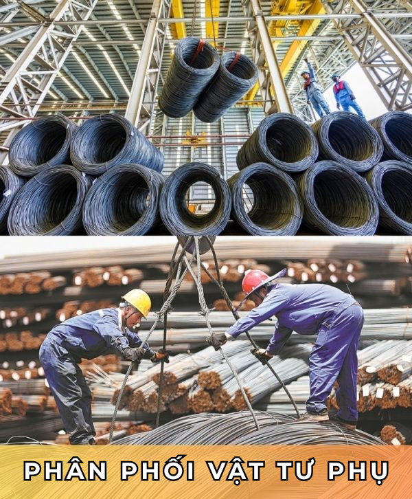 Phan Phoi Vat Tu Phu